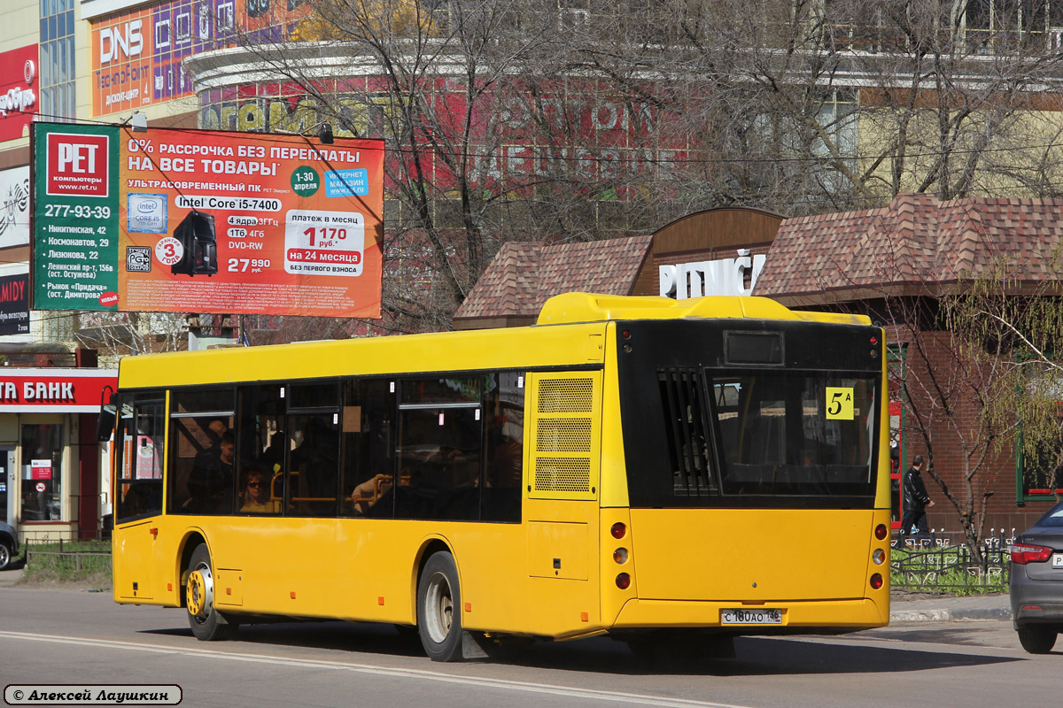 Воронежская область, МАЗ-203.067 № С 180 АО 136