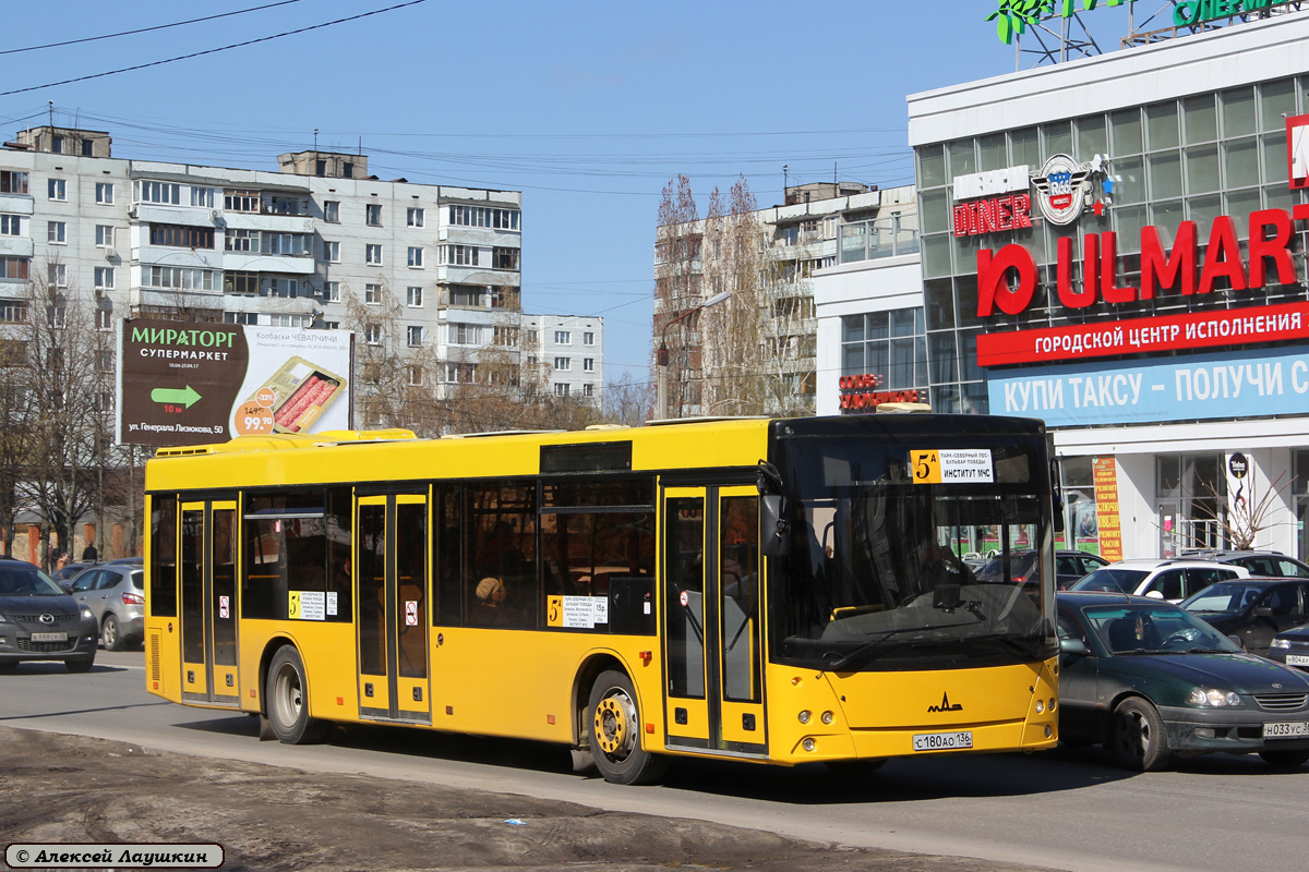 Воронежская область, МАЗ-203.067 № С 180 АО 136