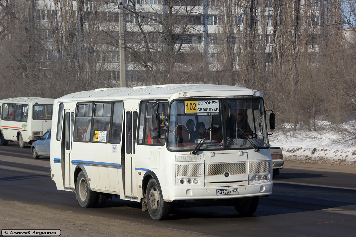 Автобус с710. ПАЗ 4234 бета. ПАЗ 4234-05. ПАЗ 4234 С 842 АК 136. ПАЗ 4234-05 Воронеж.