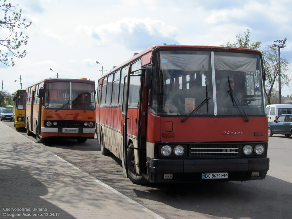 Львовская область, Ikarus 260.50 № BC 5665 AH; Львовская область, Ikarus 250.59 № BC 8631 EP