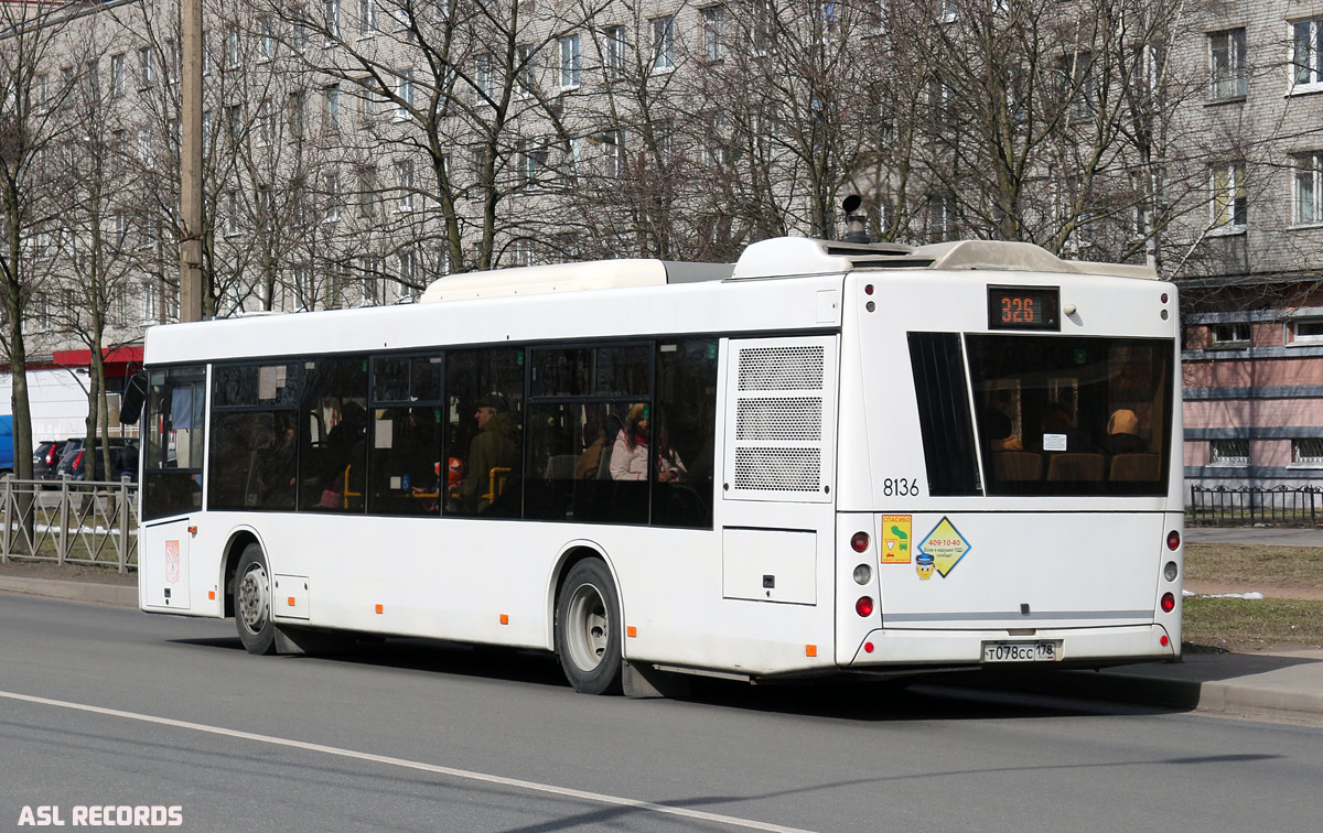 Sankt Petersburg, MAZ-203.085 Nr 8136