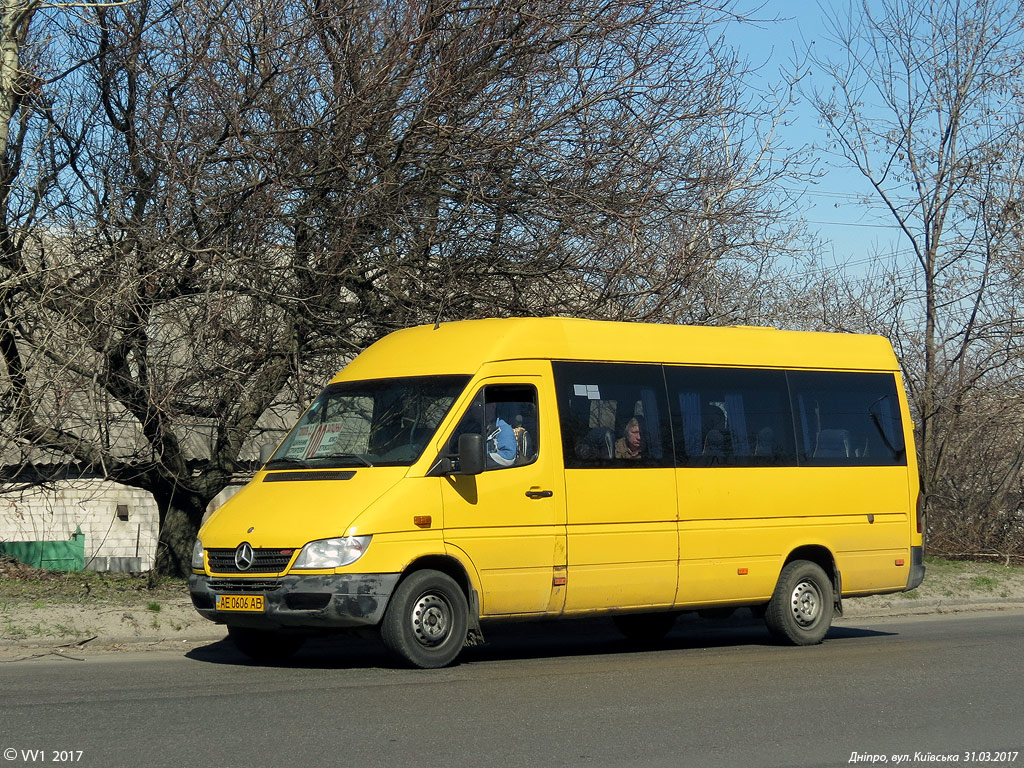 Днепропетровская область, Mercedes-Benz Sprinter W903 313CDI № AE 0606 AB