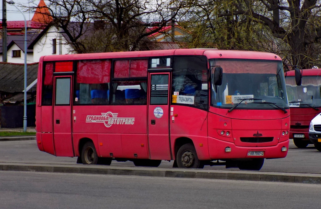 Гродненская область, МАЗ-256.170 № 031445