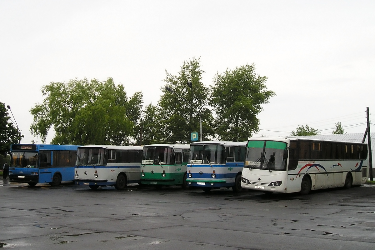 Gomel region — Bus terminals and bus stations