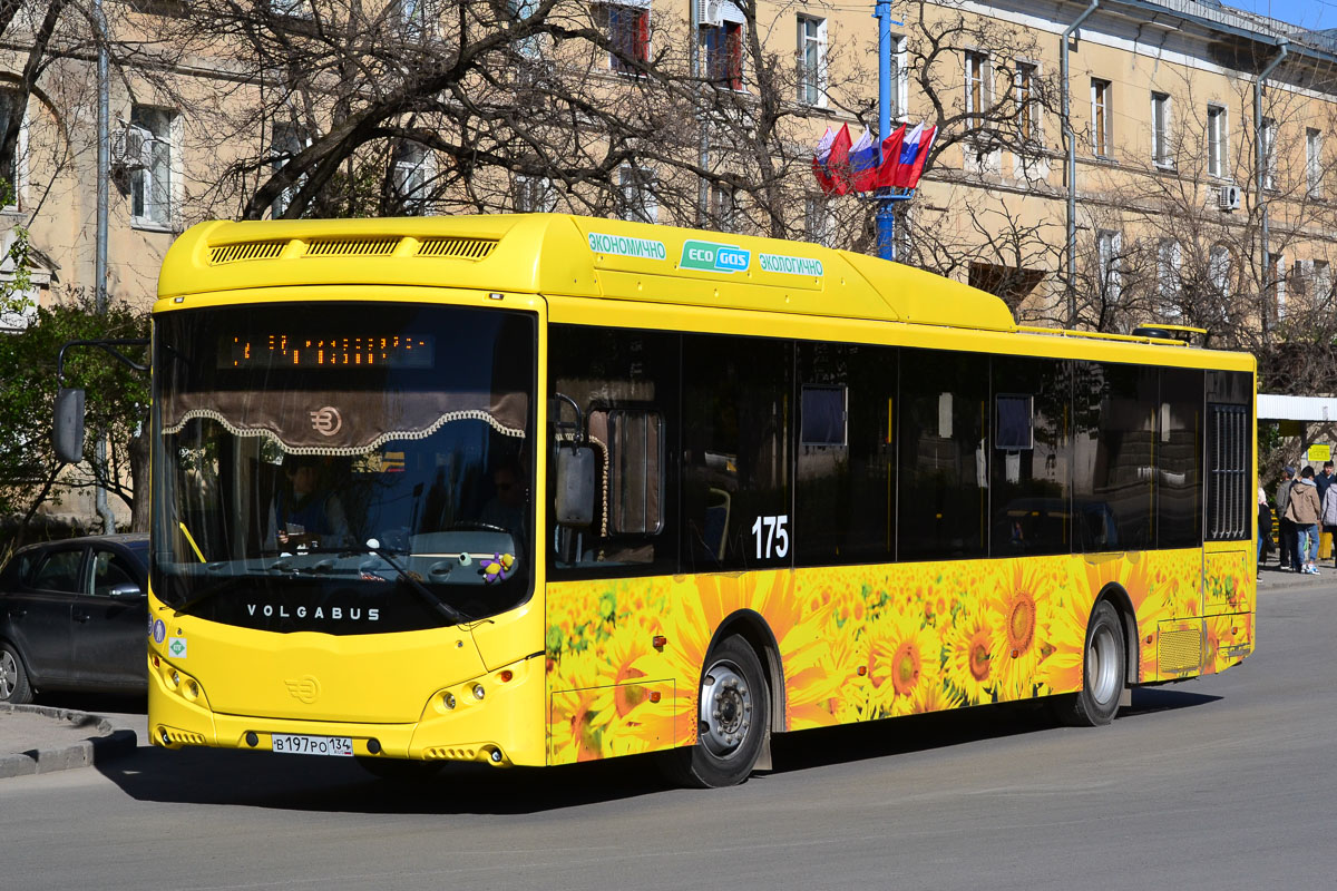 Волгоградская область, Volgabus-5270.G2 (CNG) № 175