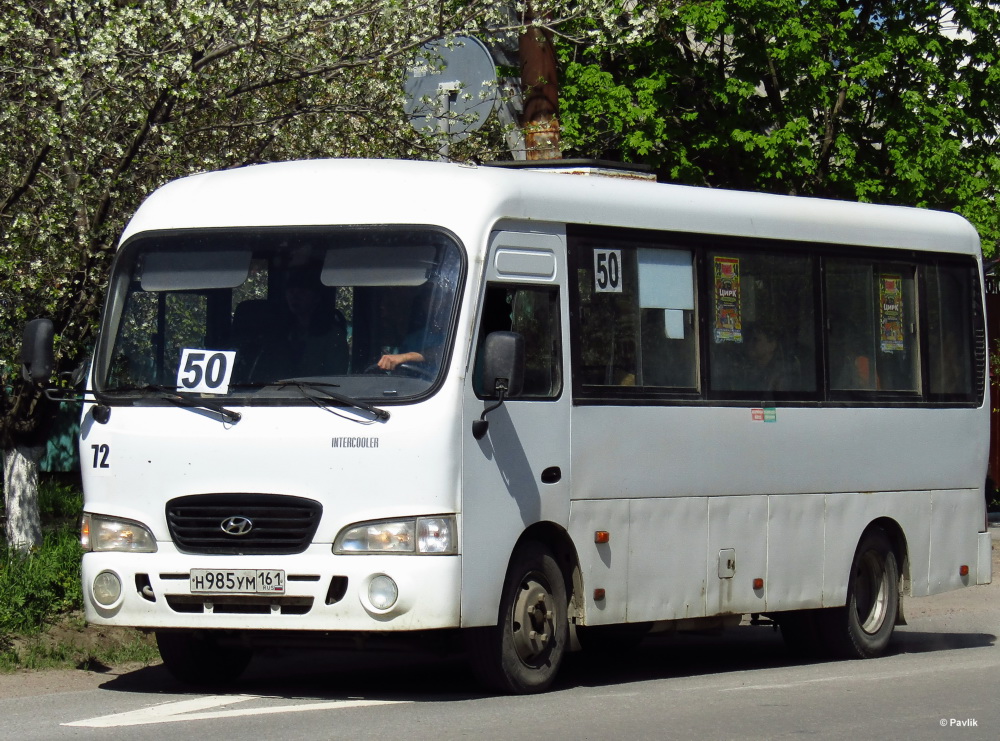 Ростовская область, Hyundai County LWB C09 (ТагАЗ) № 72