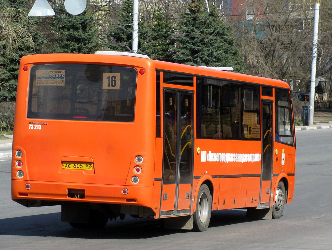 Нижегородская область, ПАЗ-320414-05 "Вектор" (1-2) № 73213