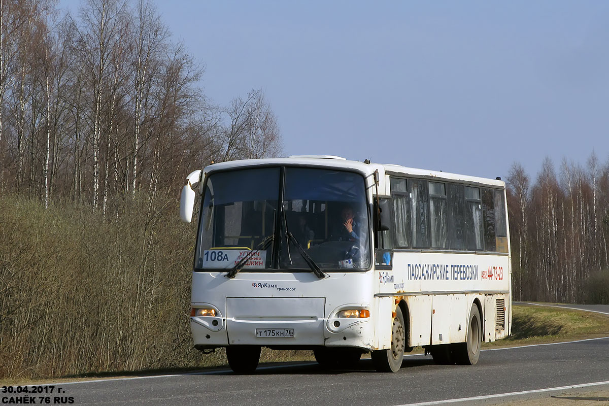 Ярославская область, КАвЗ-4238-00 № Т 175 КН 76