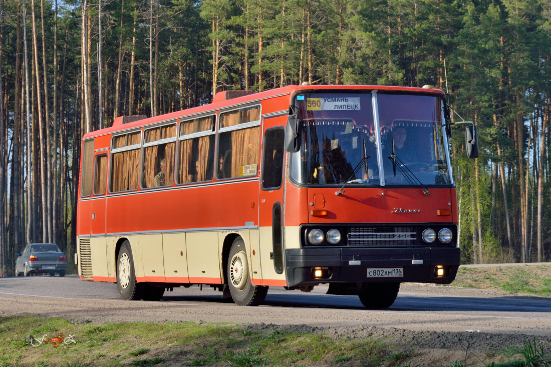 Расписание автобусов Липецк — Усмань