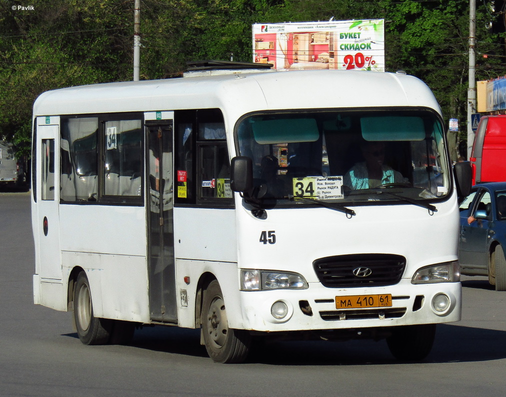 Ростовская область, Hyundai County LWB C09 (ТагАЗ) № 45