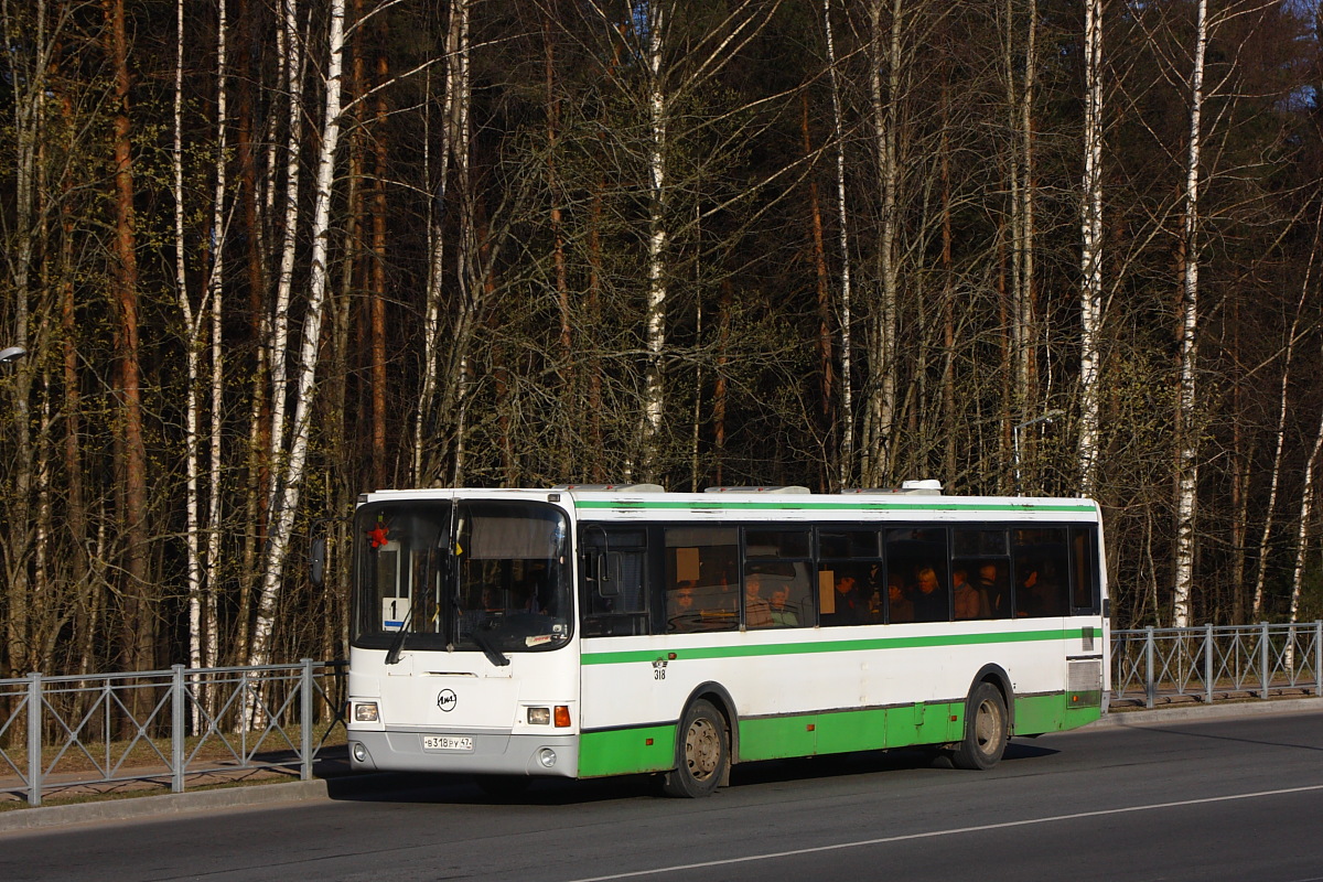 Ленинградская область, ЛиАЗ-5293.53 № 318