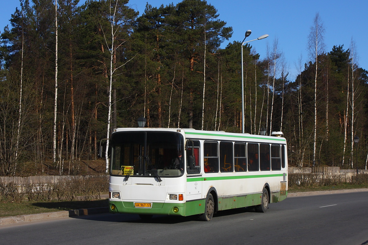 Leningradská oblast, LiAZ-5256.36 č. 967