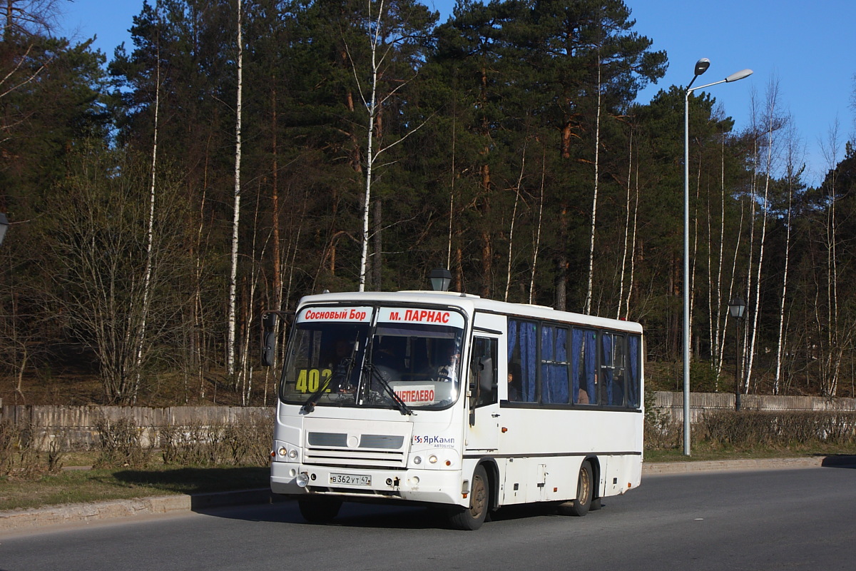 Ленинградская область, ПАЗ-320402-05 № В 362 УТ 47