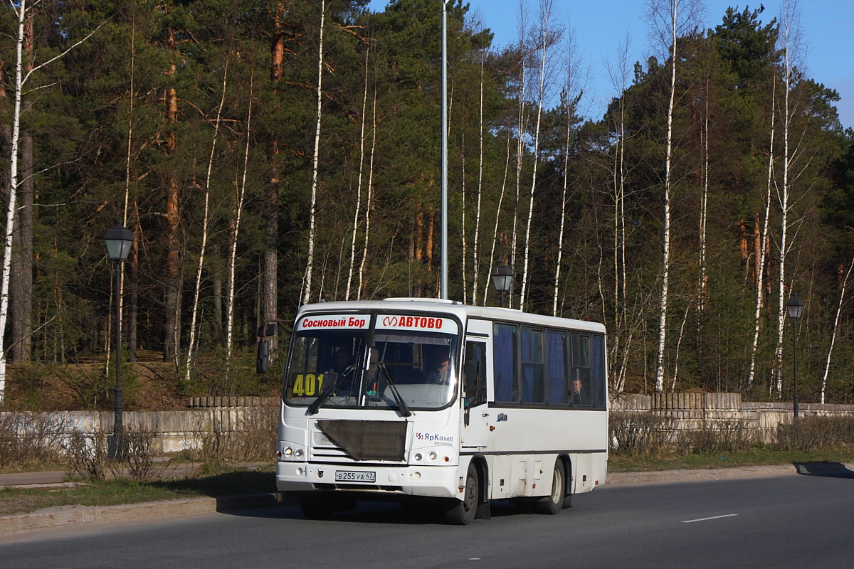 Ленинградская область, ПАЗ-320402-05 № В 255 УА 47