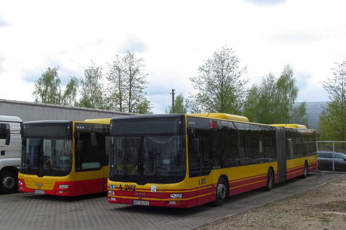 Польша, MAN A23 Lion's City G NG363 № A202