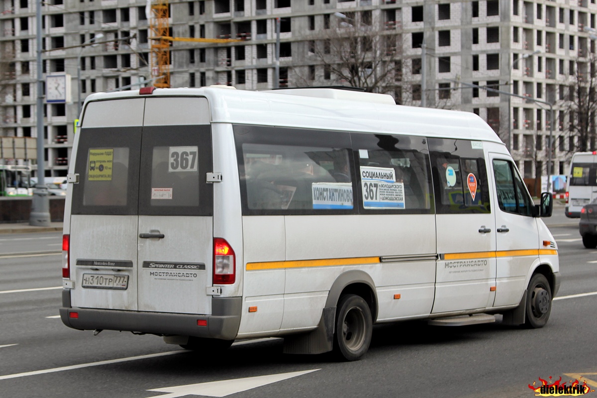 Московская область, Луидор-223237 (MB Sprinter Classic) № 5041