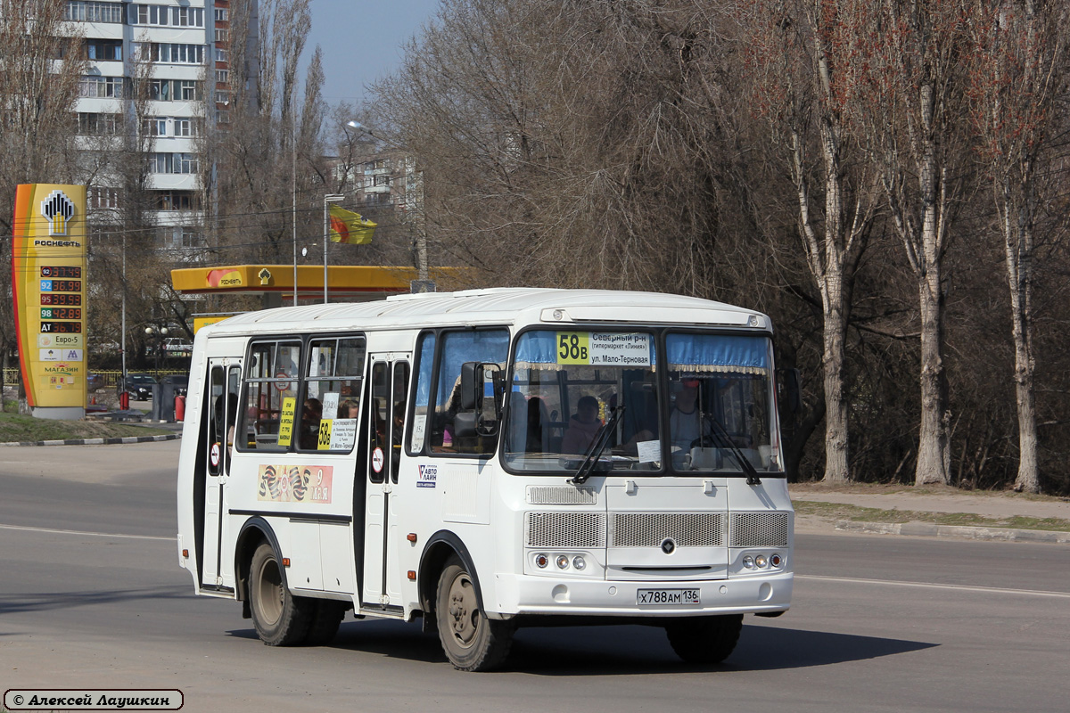 Воронежская область, ПАЗ-32054 № Х 788 АМ 136