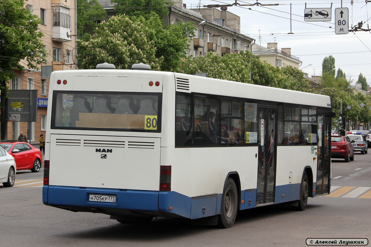 Воронежская область, MAN A74 Lion's Classic SL223 № Н 705 КР 777