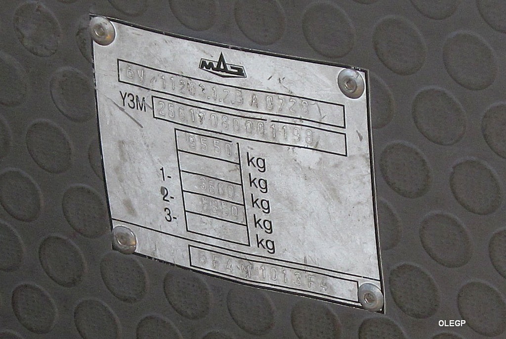 Витебская область, МАЗ-256.170 № 020231