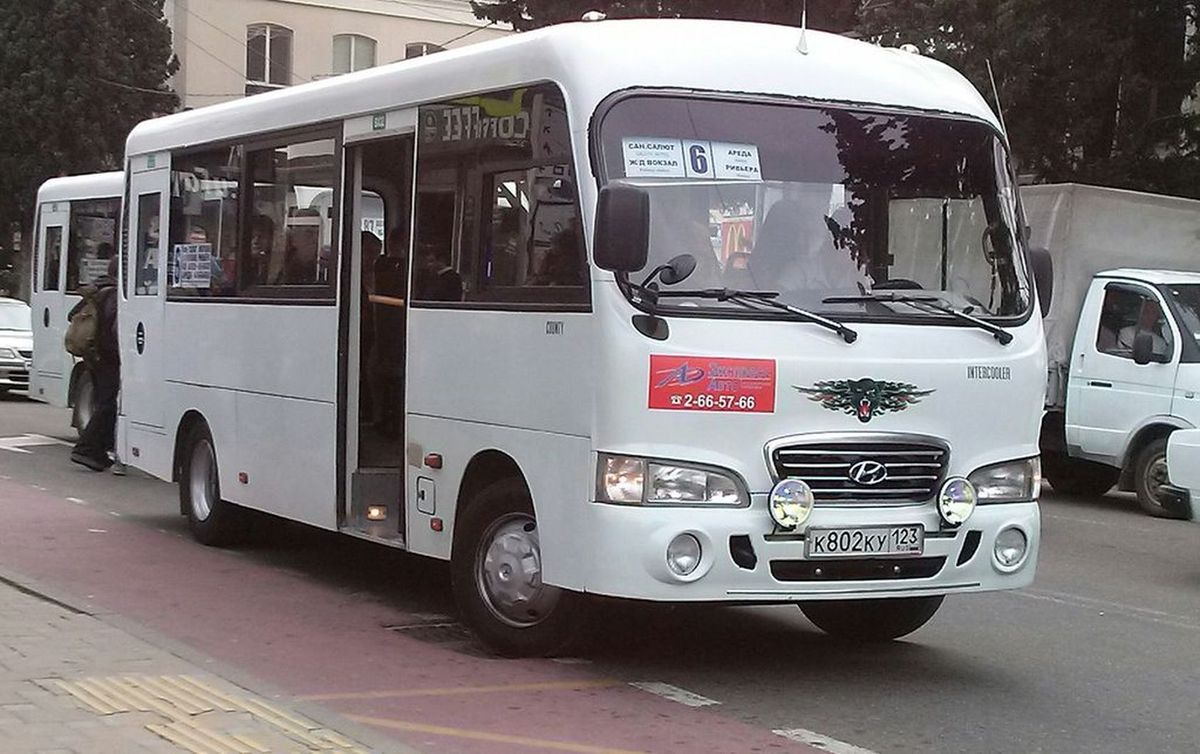 Краснодарский край, Hyundai County LWB C09 (ТагАЗ) № К 802 КУ 123 — Фото —  Автобусный транспорт