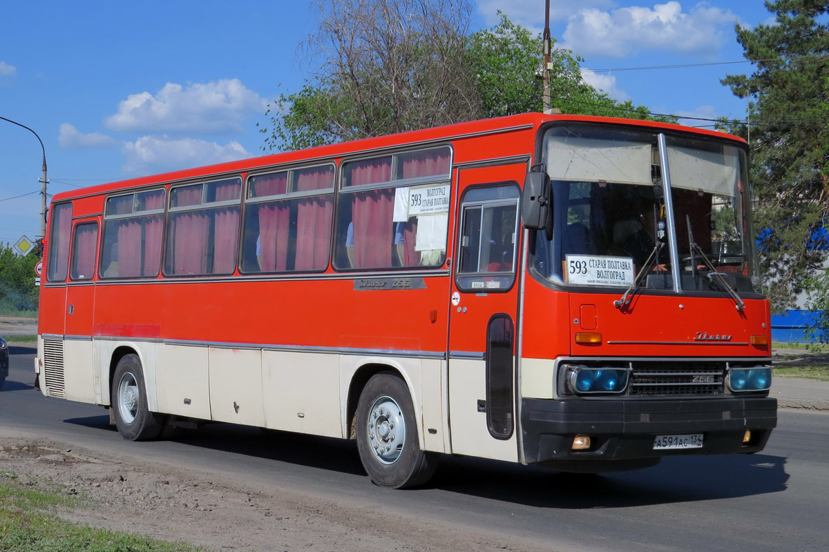 Волгоградская область, Ikarus 256.74 № А 591 АС 134