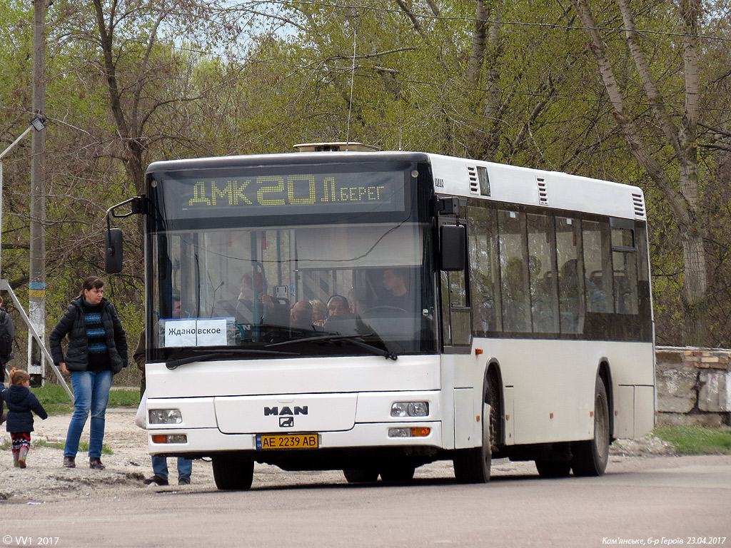 Днепропетровская область, MAN A21 NL223 № AE 2239 AB