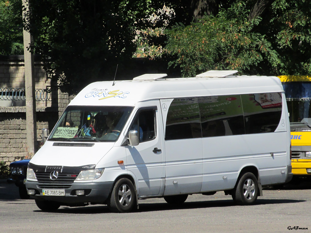 Днепропетровская область, Mercedes-Benz Sprinter W903 313CDI № AE 7083 BM