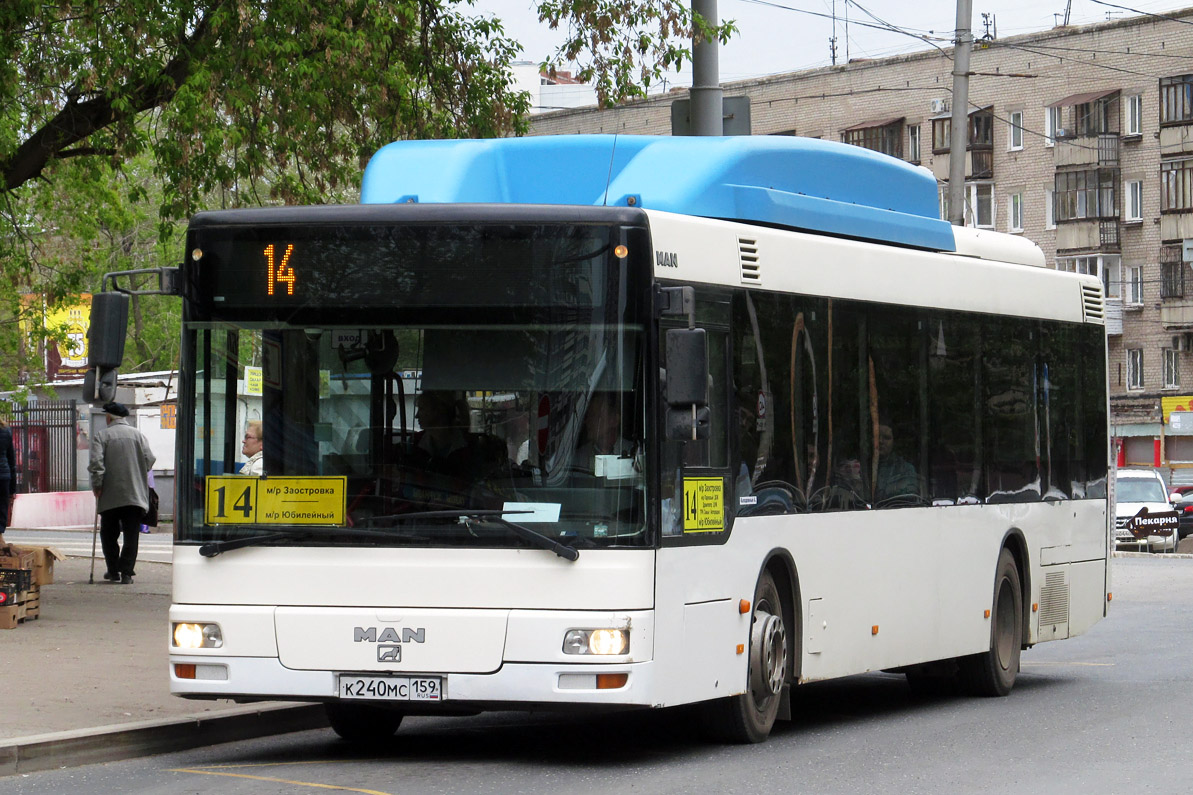 Пермский край, MAN A21 NL243 CNG № К 240 МС 159