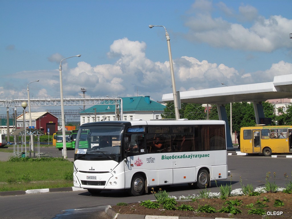 Витебская область, МАЗ-241.000 № 022977