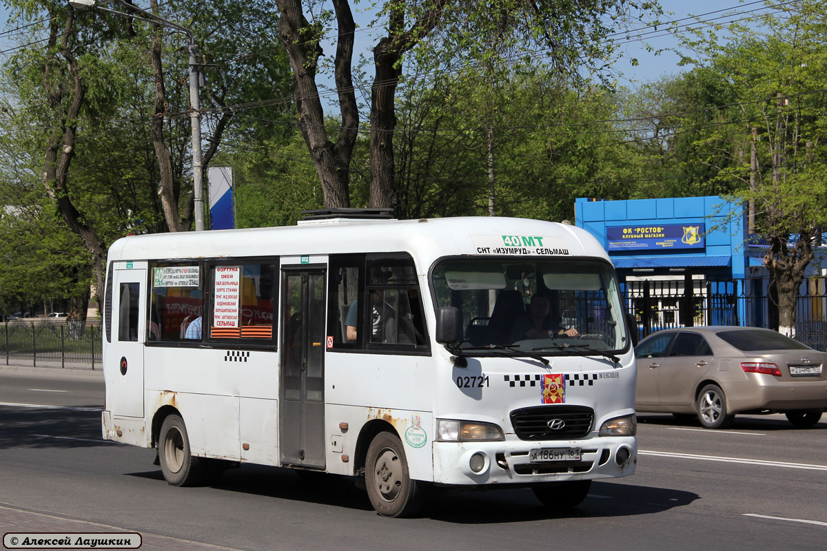 Ростовская область, Hyundai County LWB C09 (ТагАЗ) № 02721