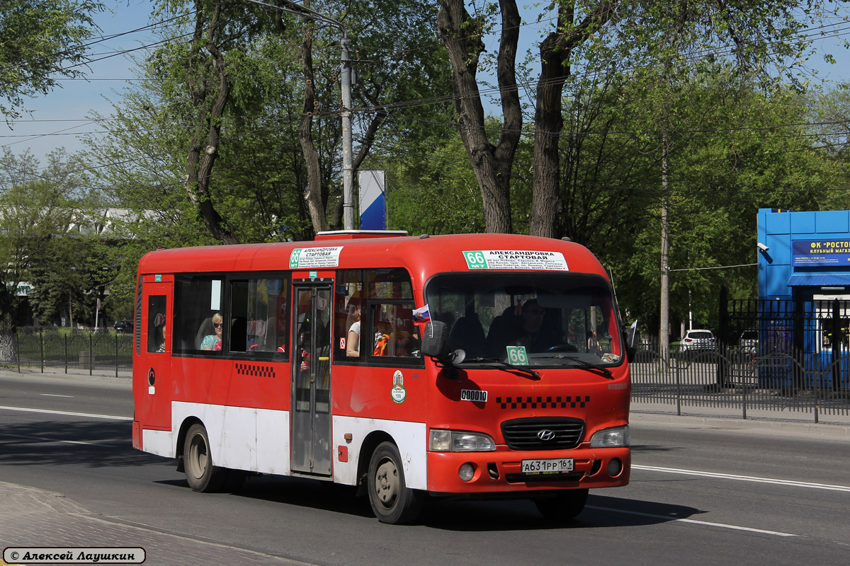 Ростовская область, Hyundai County LWB C11 (ТагАЗ) № 002429