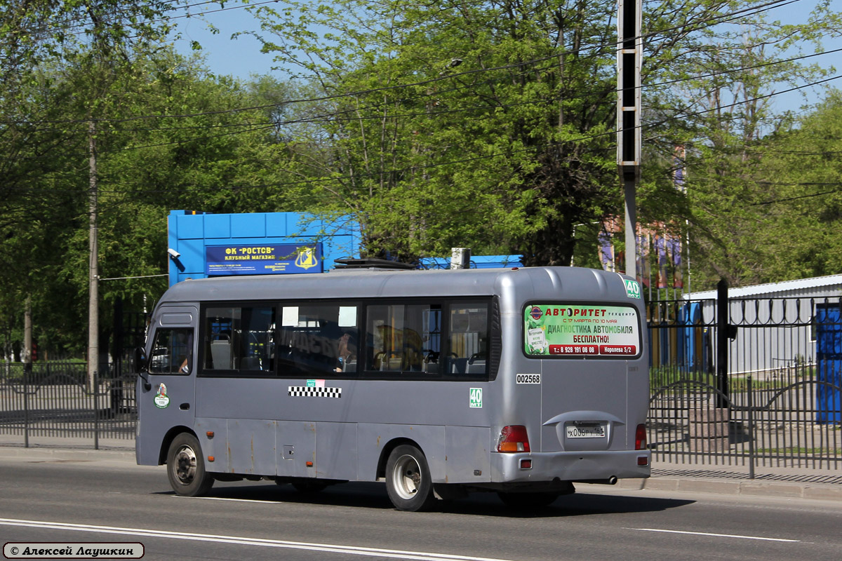 Ростовская область, Hyundai County LWB C09 (ТагАЗ) № 002568