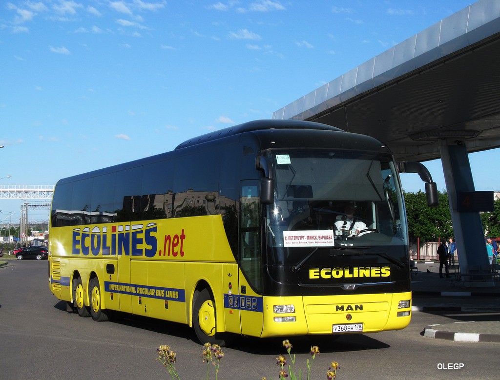 Санкт-Петербург, MAN R08 Lion's Coach L RHC444 L № 318