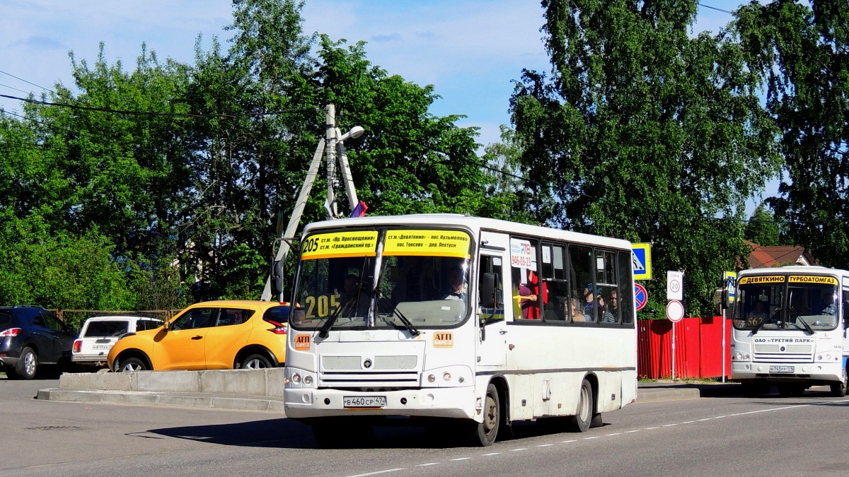 Санкт-Петербург, ПАЗ-320402-05 № 191