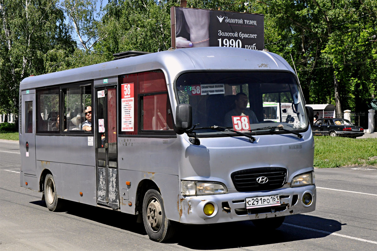 Алтайский край, Hyundai County LWB C11 (ТагАЗ) № С 291 РО 161