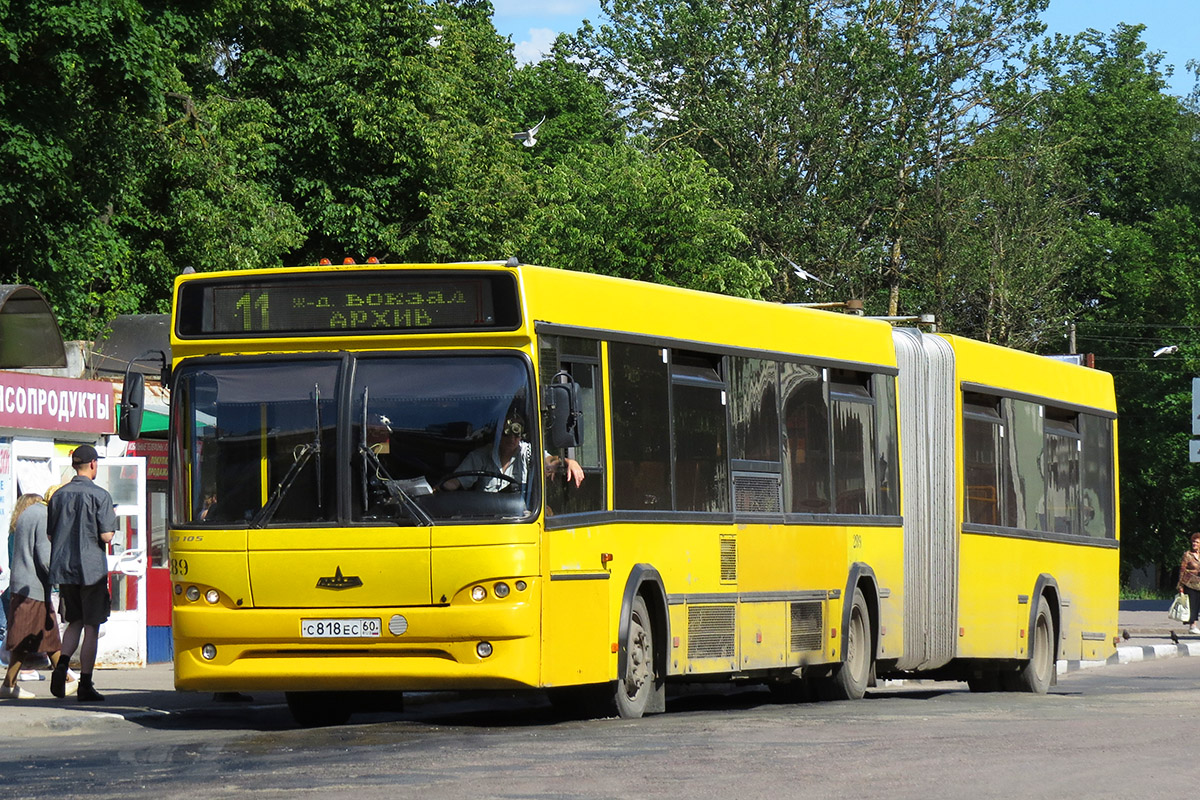 Pszkovi terület, MAZ-105.465 sz.: 289