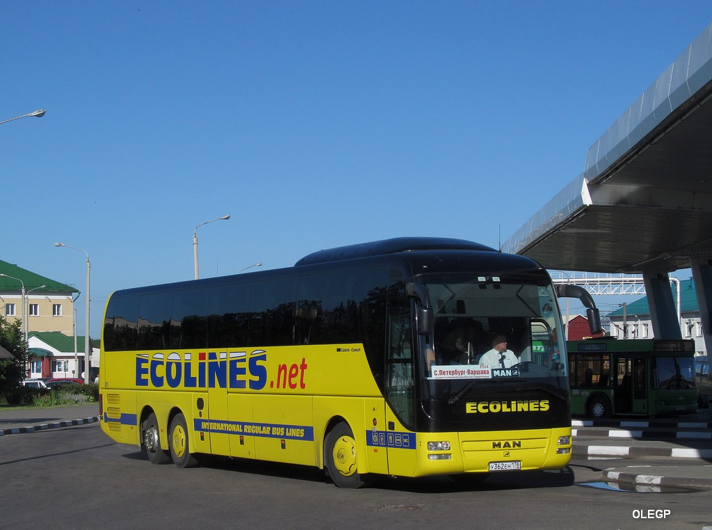 Санкт-Петербург, MAN R08 Lion's Coach L RHC444 L № 317