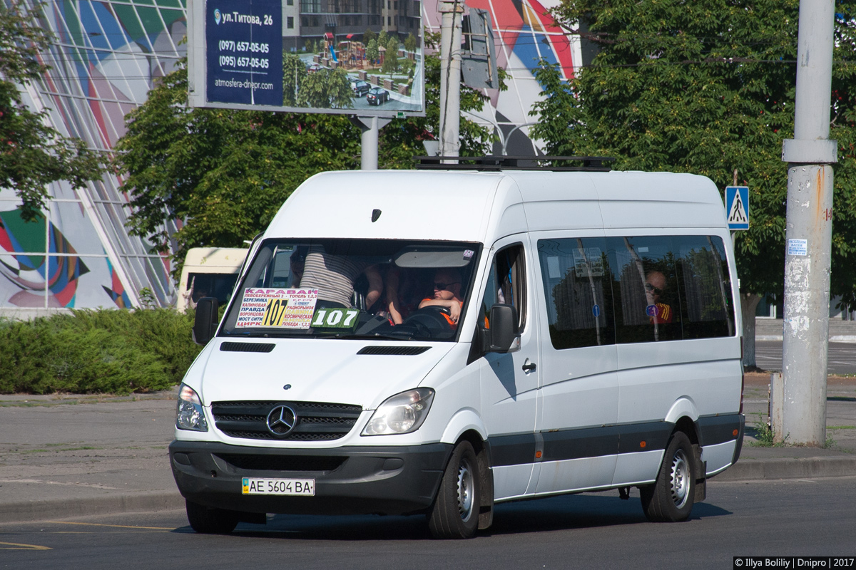 Днепропетровская область, Mercedes-Benz Sprinter W906 313CDI № AE 5604 BA