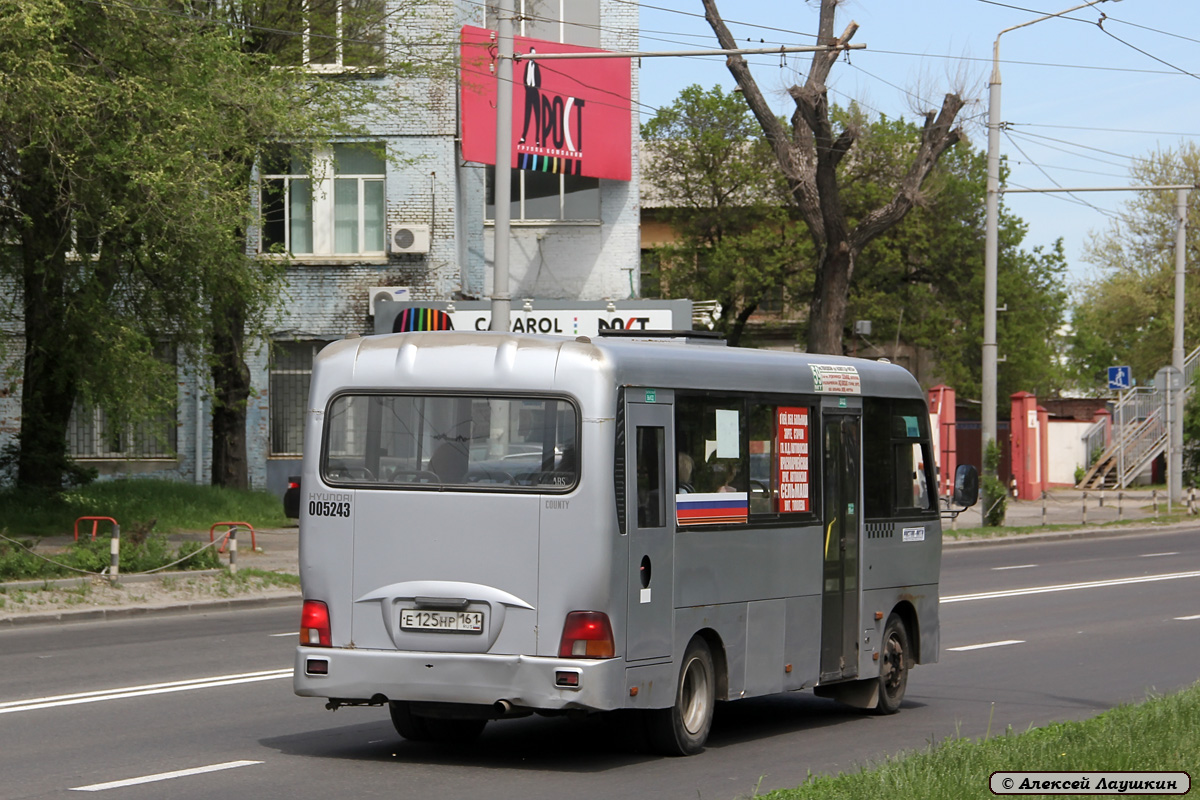 Ростовская область, Hyundai County LWB C09 (ТагАЗ) № 005243