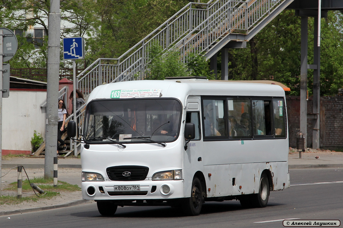 Ростовская область, Hyundai County LWB C09 (ТагАЗ) № 010