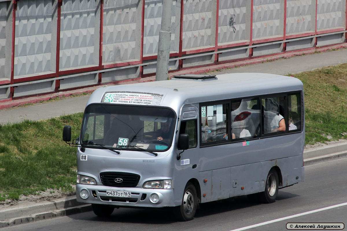 Ростовская область, Hyundai County LWB C11 (ТагАЗ) № 018