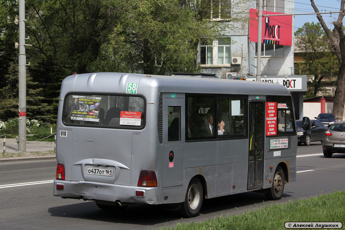 Ростовская область, Hyundai County LWB C11 (ТагАЗ) № 018