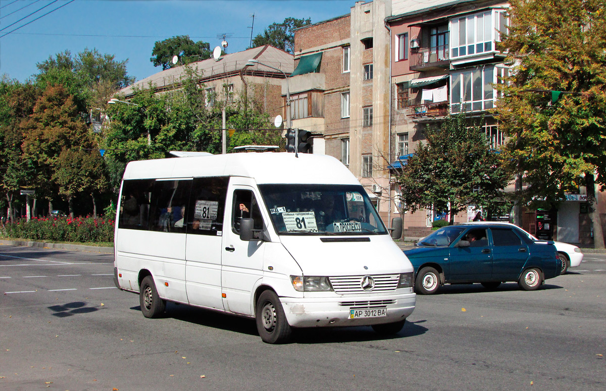 Запорожская область, Mercedes-Benz Sprinter W903 310D № AP 3012 BA