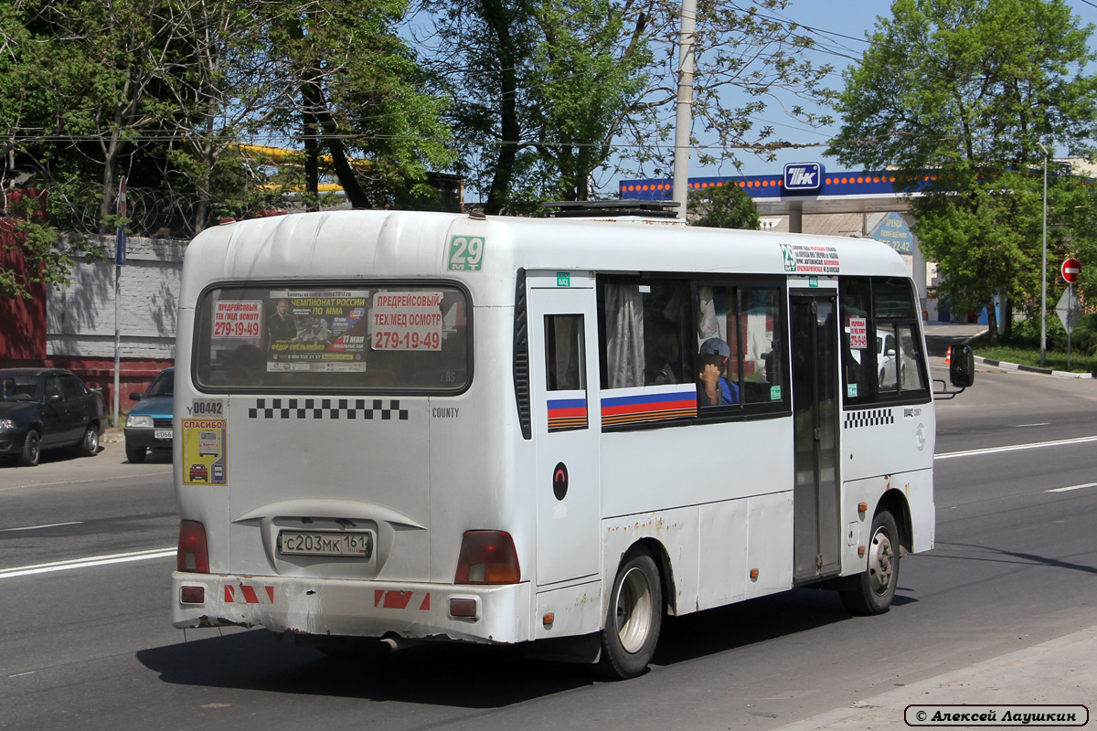 Ростовская область, Hyundai County LWB C09 (ТагАЗ) № 00442