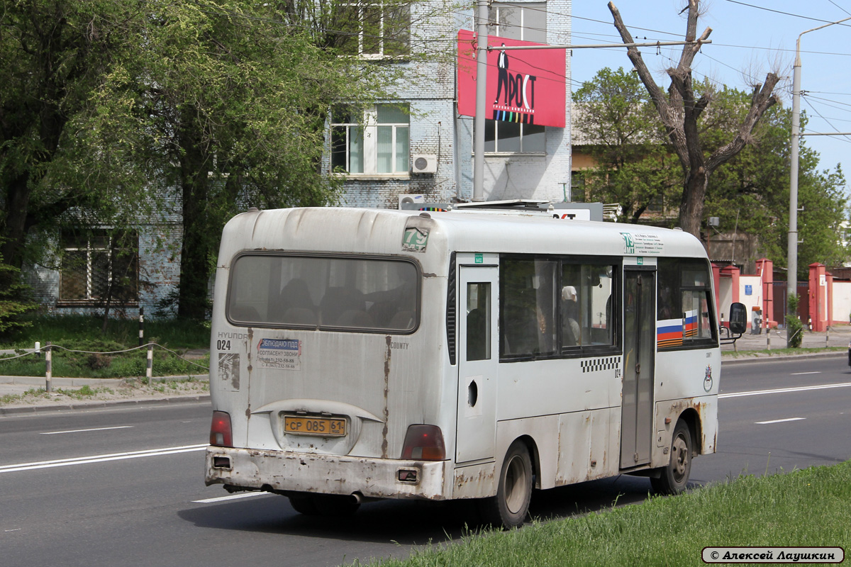Ростовская область, Hyundai County LWB C11 (ТагАЗ) № 024