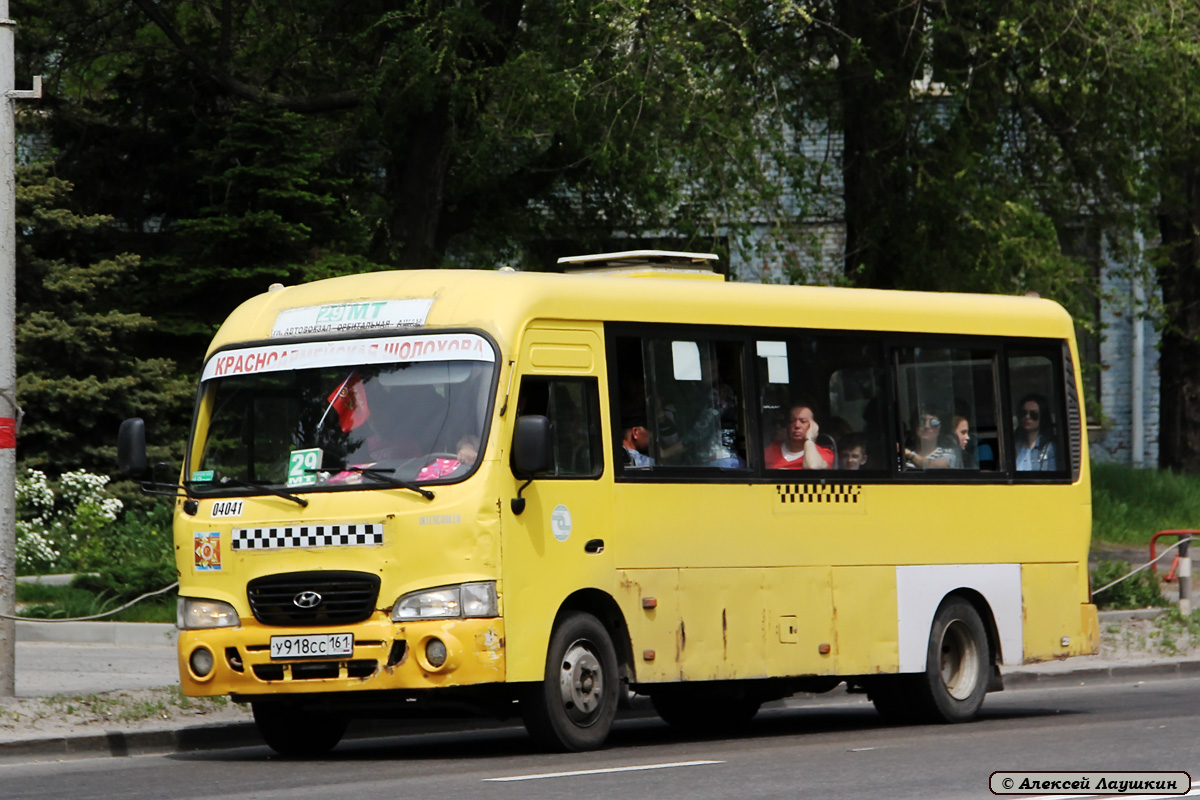 Ростовская область, Hyundai County LWB C09 (ТагАЗ) № 04041