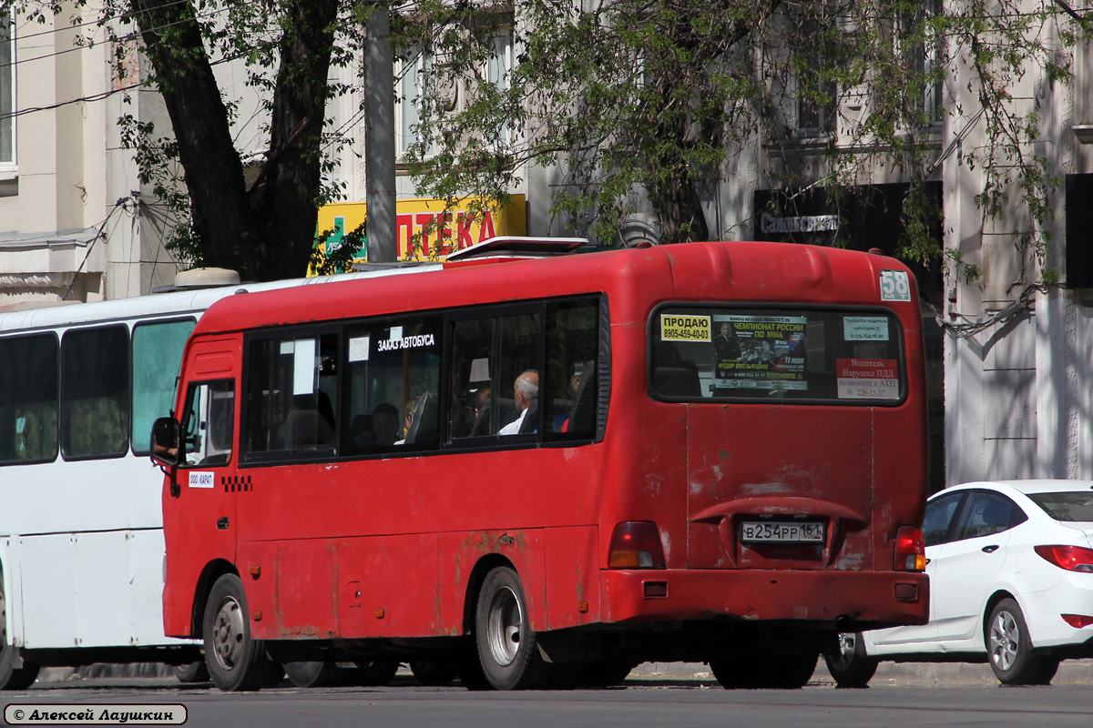 Ростовская область, Hyundai County LWB C11 (ТагАЗ) № 091