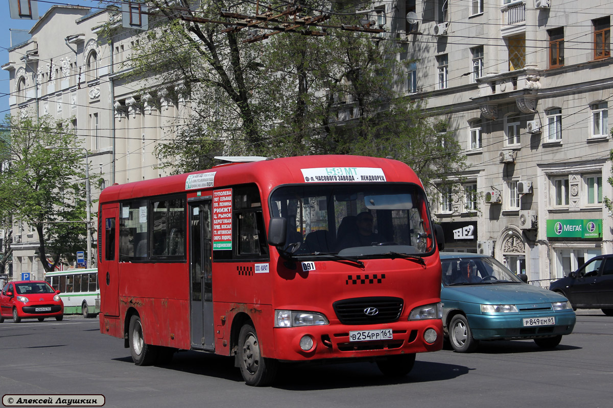 Ростовская область, Hyundai County LWB C11 (ТагАЗ) № 091