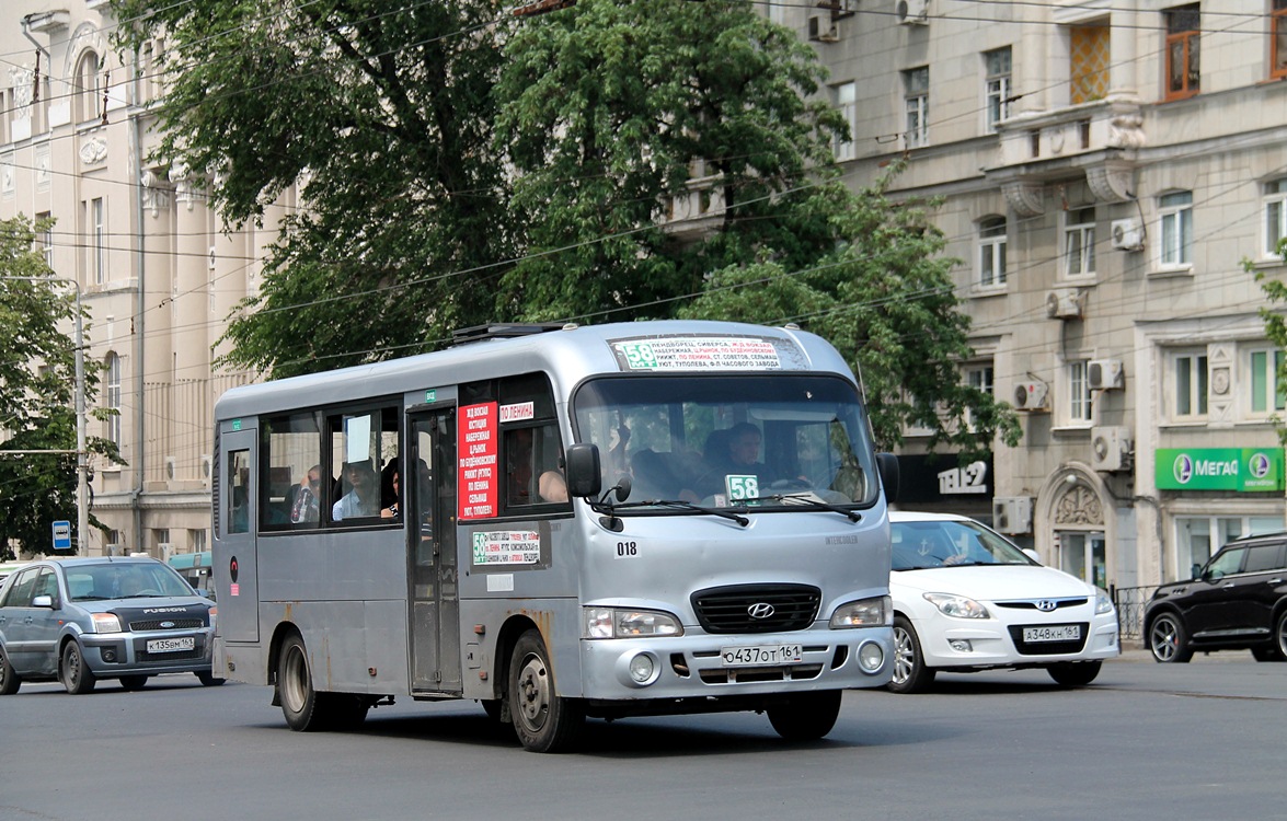 Ростовская область, Hyundai County LWB C11 (ТагАЗ) № 018