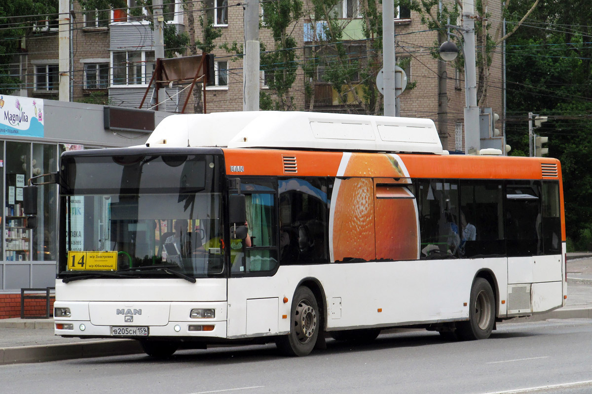 Пермский край, MAN A21 NL313 CNG № В 205 СН 159